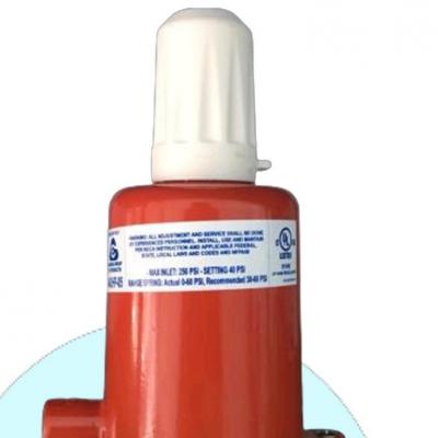 VAN ĐIỀU ÁP CẤP MỘT 90kg/h CAVAGNA TYPE 942HP-5